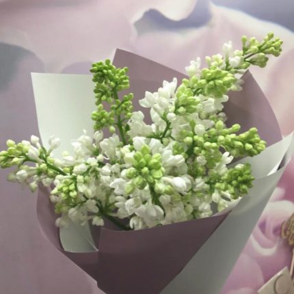 Букет из трех веток белой сирени