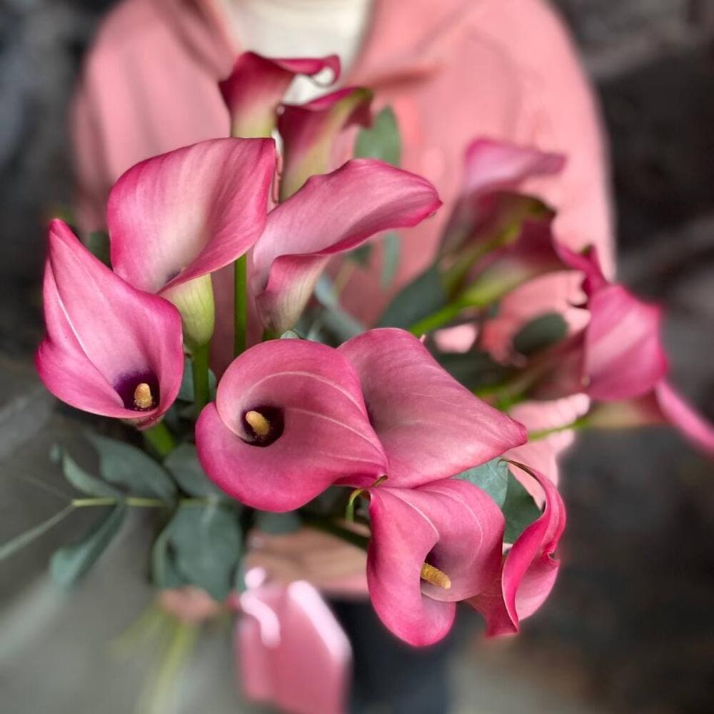 Букет из 15 розовых калл с эвкалиптом 