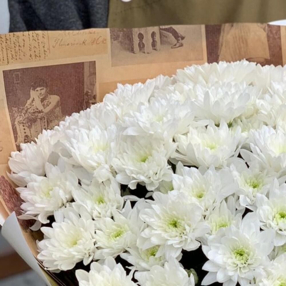 Монобукет кустовой хризантемы Монобукет кустовой хризантемы