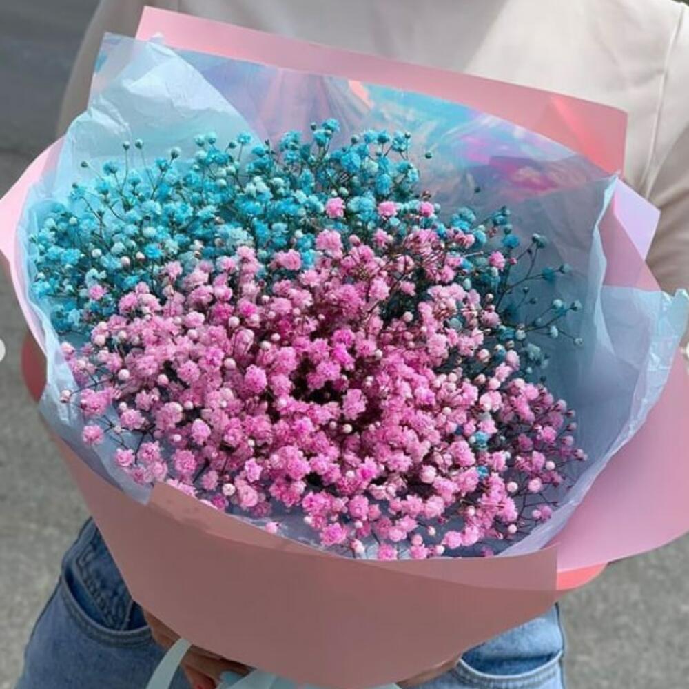 Розовая и голубая гипсофила Розовая и голубая гипсофила