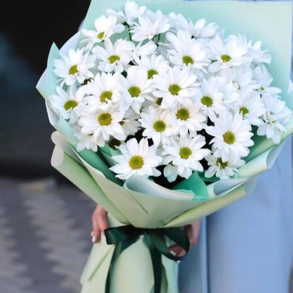 Букет 7 веток ромашковых хризантем